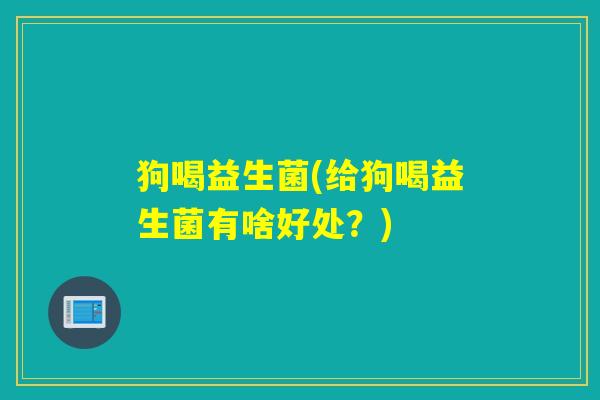 狗喝益生菌(给狗喝益生菌有啥好处？)