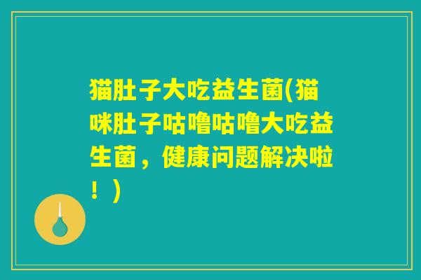 猫肚子大吃益生菌(猫咪肚子咕噜咕噜大吃益生菌，健康问题解决啦！)