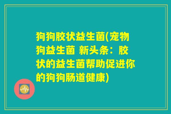 狗狗胶状益生菌(宠物狗益生菌 新头条：胶状的益生菌帮助促进你的狗狗肠道健康)