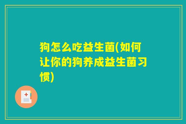 狗怎么吃益生菌(如何让你的狗养成益生菌习惯)