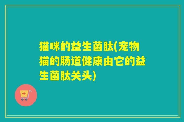 猫咪的益生菌肽(宠物猫的肠道健康由它的益生菌肽关头)