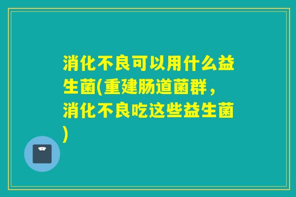 消化不良可以用什么益生菌(重建肠道菌群，消化不良吃这些益生菌)
