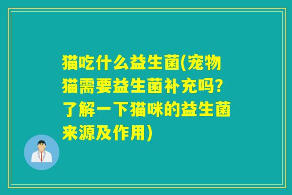 猫吃什么益生菌(宠物猫需要益生菌补充吗？了解一下猫咪的益生菌来源及作用)