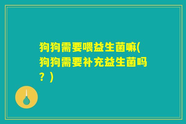 狗狗需要喂益生菌嘛(狗狗需要补充益生菌吗？)