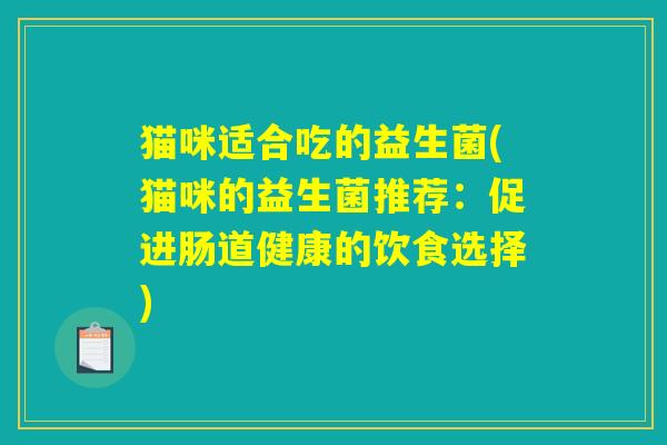 猫咪适合吃的益生菌(猫咪的益生菌推荐：促进肠道健康的饮食选择)