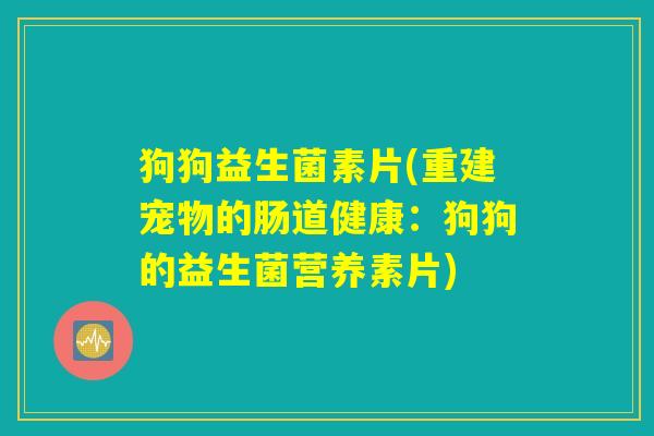 狗狗益生菌素片(重建宠物的肠道健康：狗狗的益生菌营养素片)