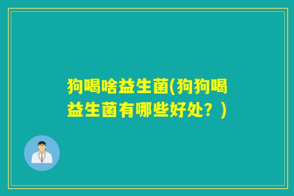 狗喝啥益生菌(狗狗喝益生菌有哪些好处?) 狗喝啥益生菌(狗狗喝益生菌有哪些好处?)