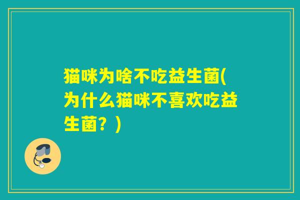 猫咪为啥不吃益生菌(为什么猫咪不喜欢吃益生菌？)