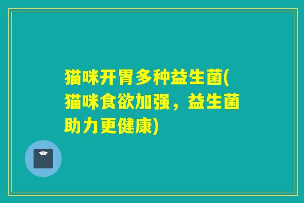 猫咪开胃多种益生菌(猫咪食欲加强，益生菌助力更健康)