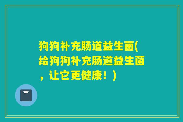 狗狗补充肠道益生菌(给狗狗补充肠道益生菌，让它更健康！)