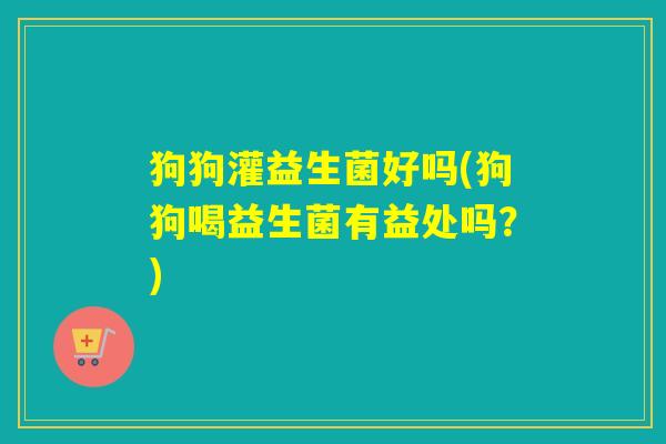 狗狗灌益生菌好吗(狗狗喝益生菌有益处吗？)