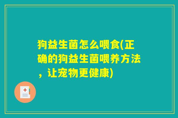 狗益生菌怎么喂食(正确的狗益生菌喂养方法，让宠物更健康)