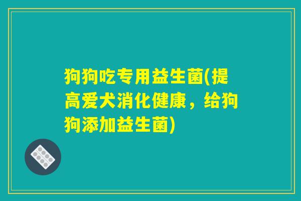 狗狗吃专用益生菌(提高爱犬消化健康,给狗狗添加益生菌) 狗狗吃专用益生菌(提高爱犬消化健康,给狗狗添加益生菌)