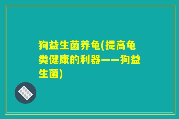 狗益生菌养龟(提高龟类健康的利器——狗益生菌)