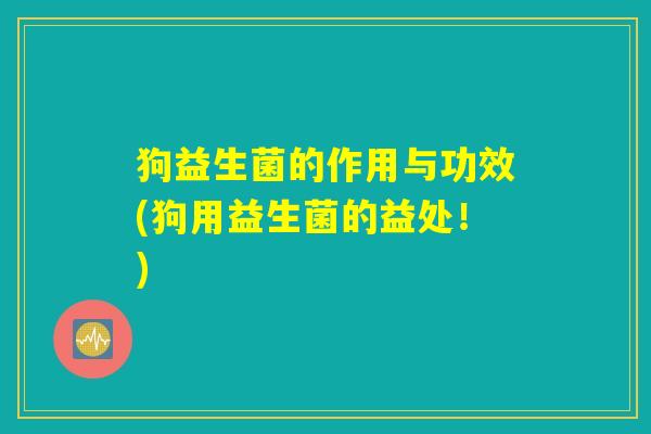 狗益生菌的作用与功效(狗用益生菌的益处！)
