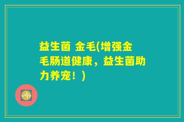 益生菌 金毛(增强金毛肠道健康，益生菌助力养宠！)