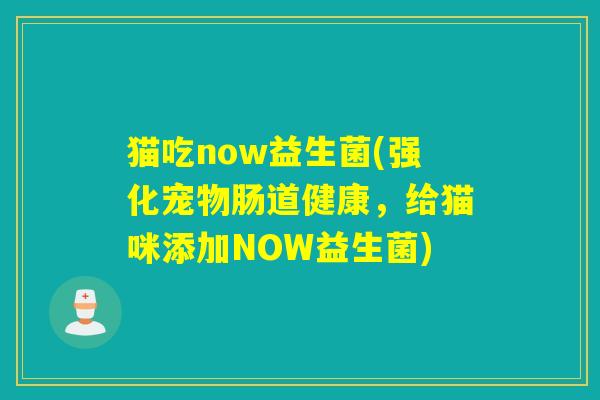 猫吃now益生菌(强化宠物肠道健康，给猫咪添加NOW益生菌)