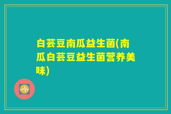 白芸豆南瓜益生菌(南瓜白芸豆益生菌营养美味)