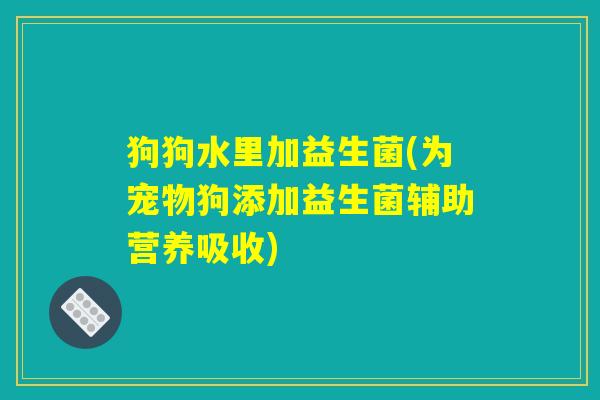 狗狗水里加益生菌(为宠物狗添加益生菌辅助营养吸收)
