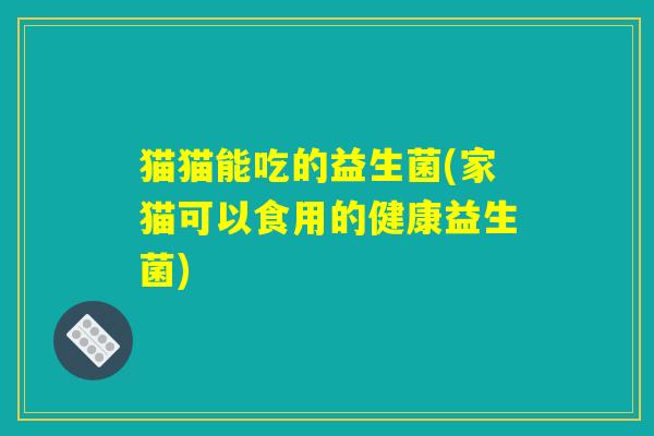 猫猫能吃的益生菌(家猫可以食用的健康益生菌)