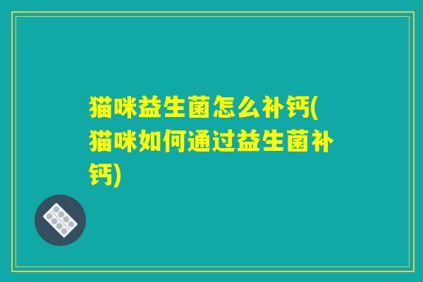 猫咪益生菌怎么补钙(猫咪如何通过益生菌补钙)