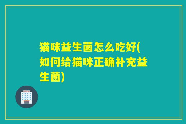 猫咪益生菌怎么吃好(如何给猫咪正确补充益生菌)
