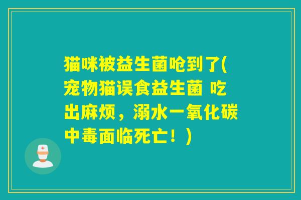 猫咪被益生菌呛到了(宠物猫误食益生菌 吃出麻烦，溺水一氧化碳中毒面临死亡！)