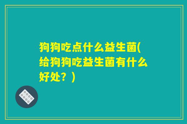 狗狗吃点什么益生菌(给狗狗吃益生菌有什么好处？)
