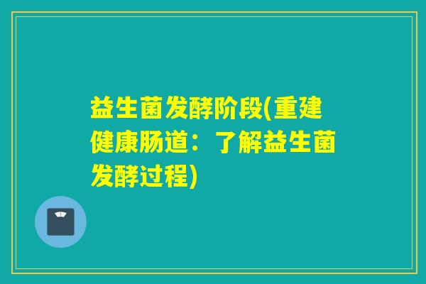 益生菌发酵阶段(重建健康肠道：了解益生菌发酵过程)