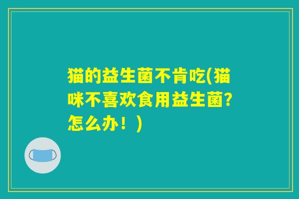 猫的益生菌不肯吃(猫咪不喜欢食用益生菌？怎么办！)