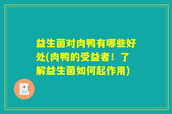 益生菌对肉鸭有哪些好处(肉鸭的受益者！了解益生菌如何起作用)
