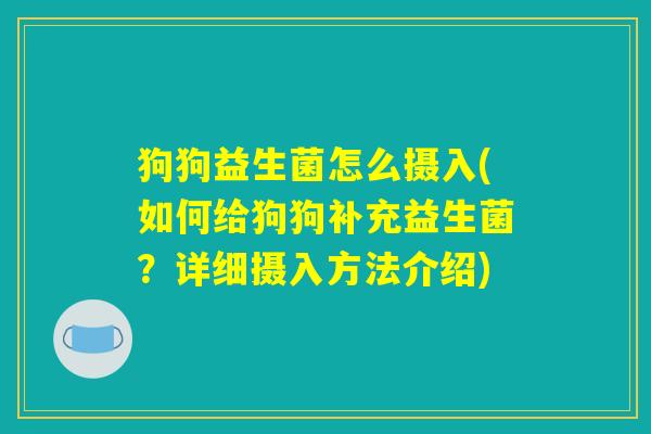 狗狗益生菌怎么摄入(如何给狗狗补充益生菌？详细摄入方法介绍)