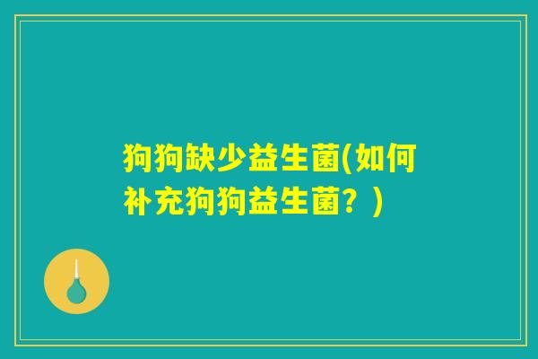 狗狗缺少益生菌(如何补充狗狗益生菌？)