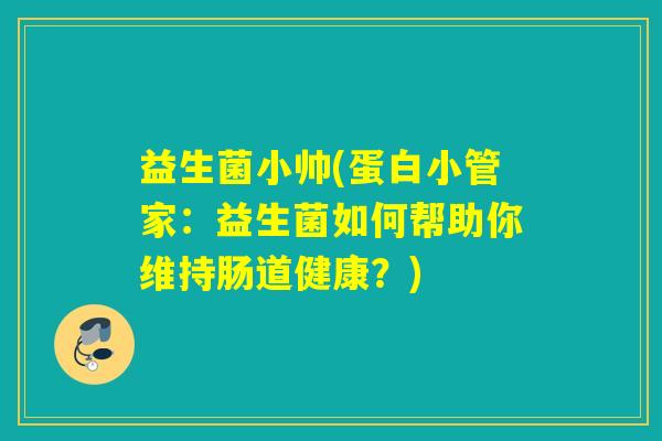 益生菌小帅(蛋白小管家：益生菌如何帮助你维持肠道健康？)