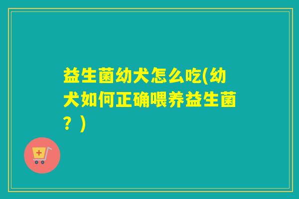 益生菌幼犬怎么吃(幼犬如何正确喂养益生菌？)