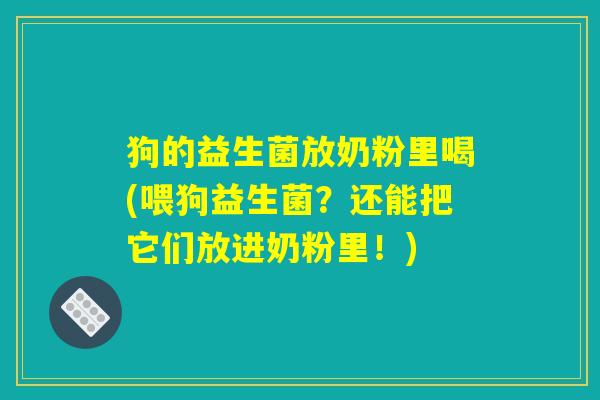 狗的益生菌放奶粉里喝(喂狗益生菌？还能把它们放进奶粉里！)