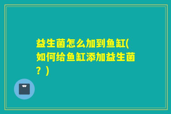 益生菌怎么加到鱼缸(如何给鱼缸添加益生菌?) 益生菌怎么加到鱼缸(如何给鱼缸添加益生菌?)
