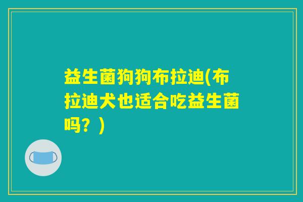 益生菌狗狗布拉迪(布拉迪犬也适合吃益生菌吗？)