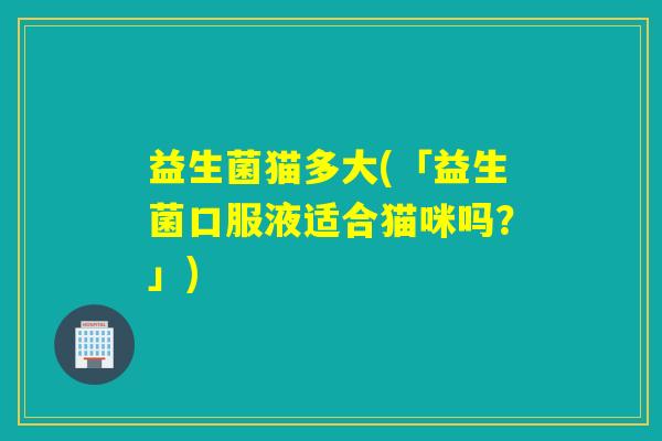 益生菌猫多大(「益生菌口服液适合猫咪吗？」)