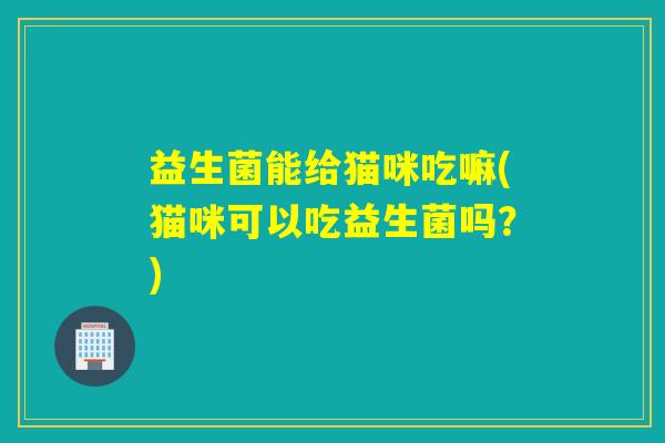 益生菌能给猫咪吃嘛(猫咪可以吃益生菌吗？)