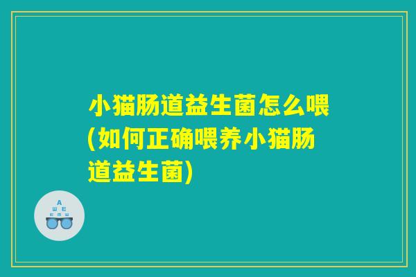 小猫肠道益生菌怎么喂(如何正确喂养小猫肠道益生菌)