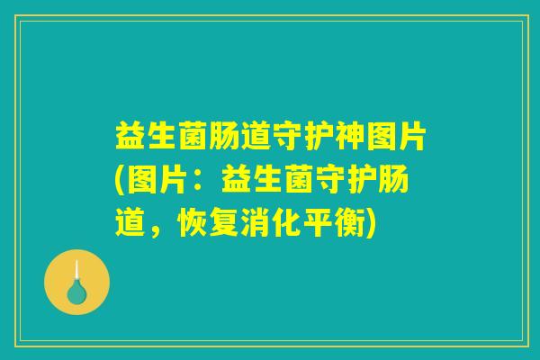 益生菌肠道守护神图片(图片：益生菌守护肠道，恢复消化平衡)