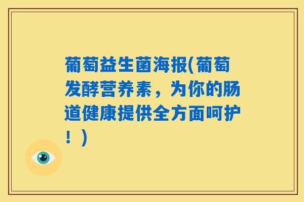葡萄益生菌海报(葡萄发酵营养素，为你的肠道健康提供全方面呵护！)