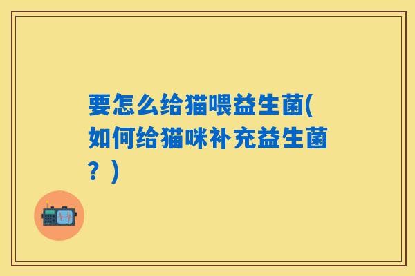 要怎么给猫喂益生菌(如何给猫咪补充益生菌？)