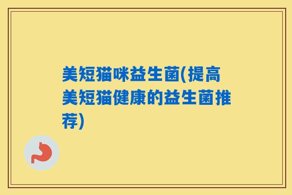 美短猫咪益生菌(提高美短猫健康的益生菌推荐)