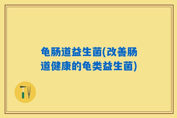 龟肠道益生菌(改善肠道健康的龟类益生菌)