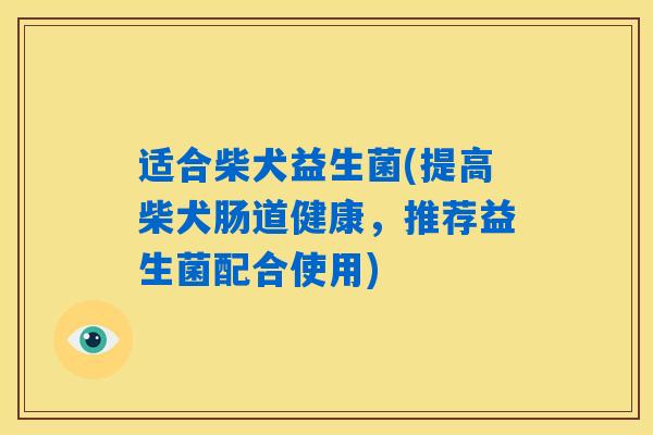 适合柴犬益生菌(提高柴犬肠道健康，推荐益生菌配合使用)