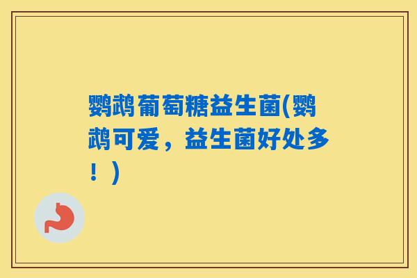 鹦鹉葡萄糖益生菌(鹦鹉可爱，益生菌好处多！)