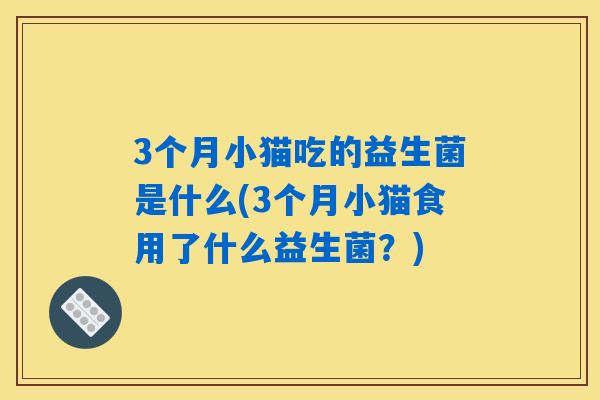 3个月小猫吃的益生菌是什么(3个月小猫食用了什么益生菌？)