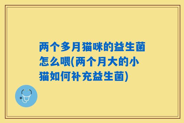 两个多月猫咪的益生菌怎么喂(两个月大的小猫如何补充益生菌)